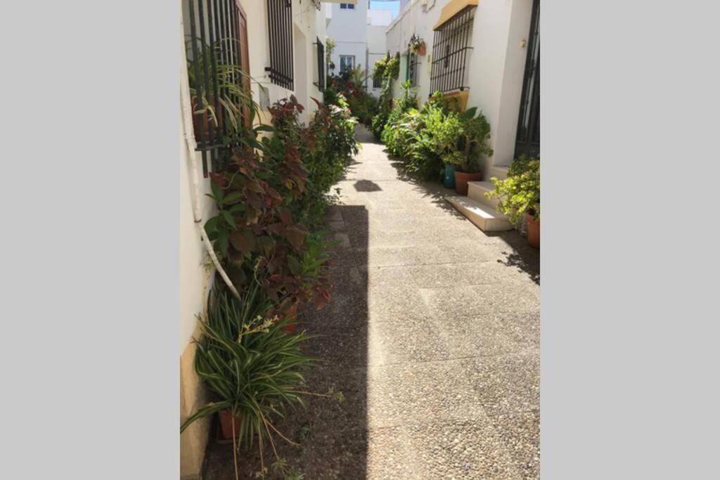 Apartamento Con Azotea Privada Para Parejas Y Familias Conil De La Frontera Exteriör bild
